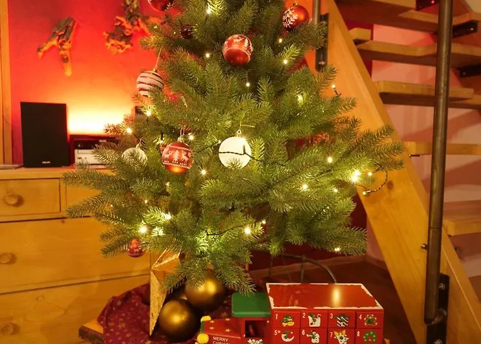 Rosi's Haeusle Schwarzwald / Terasse Mit Garten *